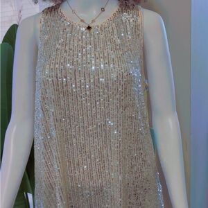 CeCe Sequin Sleeveless Dress in Silver